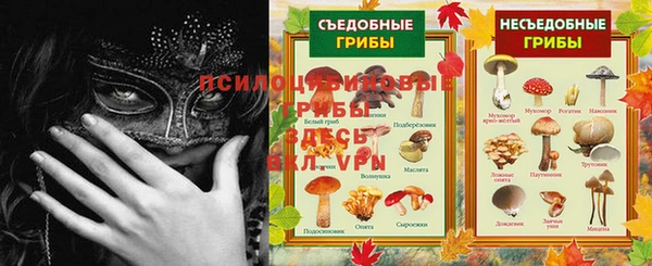 ALPHA-PVP Верхний Тагил