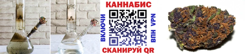 блэк спрут как зайти  Голицыно  Марихуана сатива 